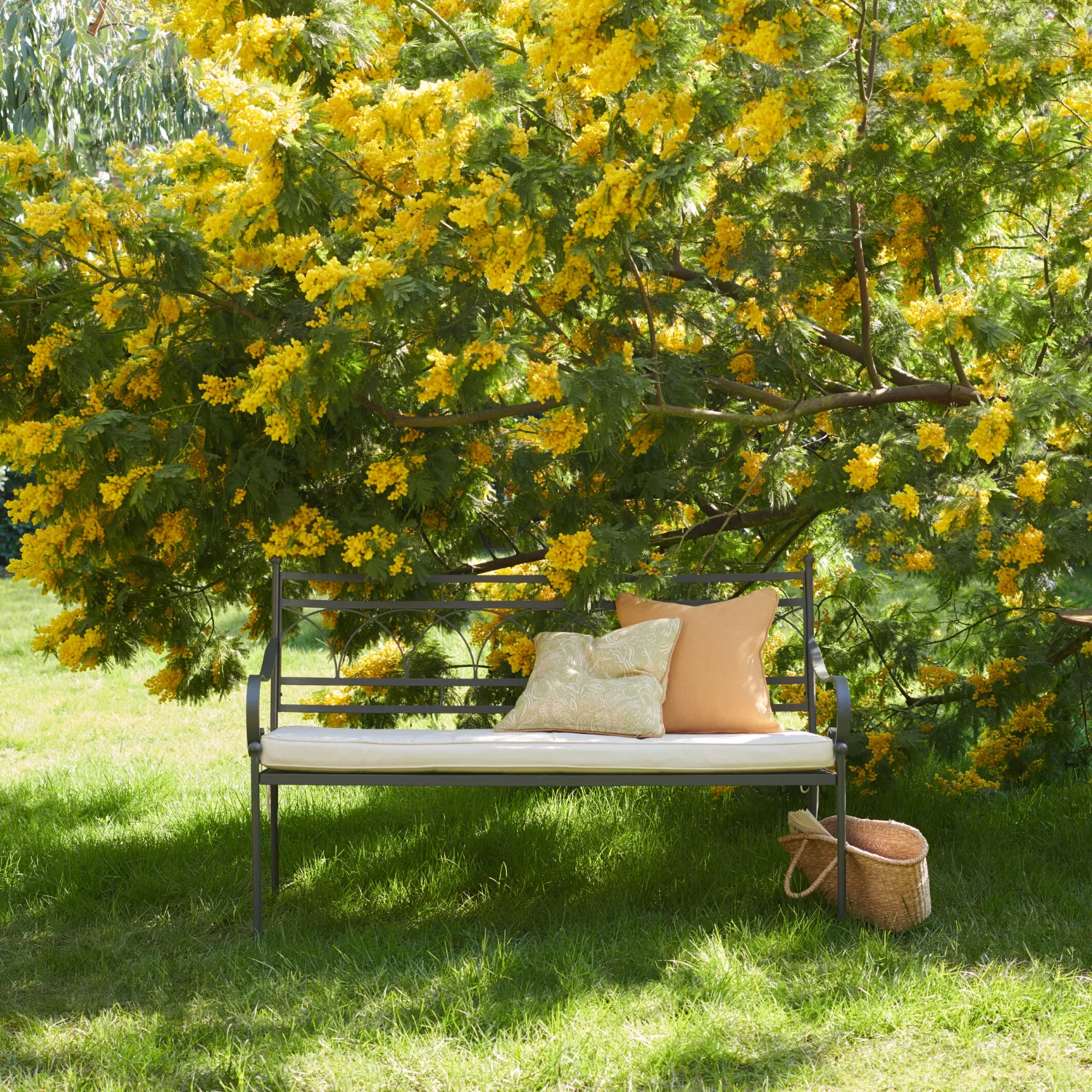 Cheltenham 2 Seater Metal Garden Bench with Cushion - Image 4