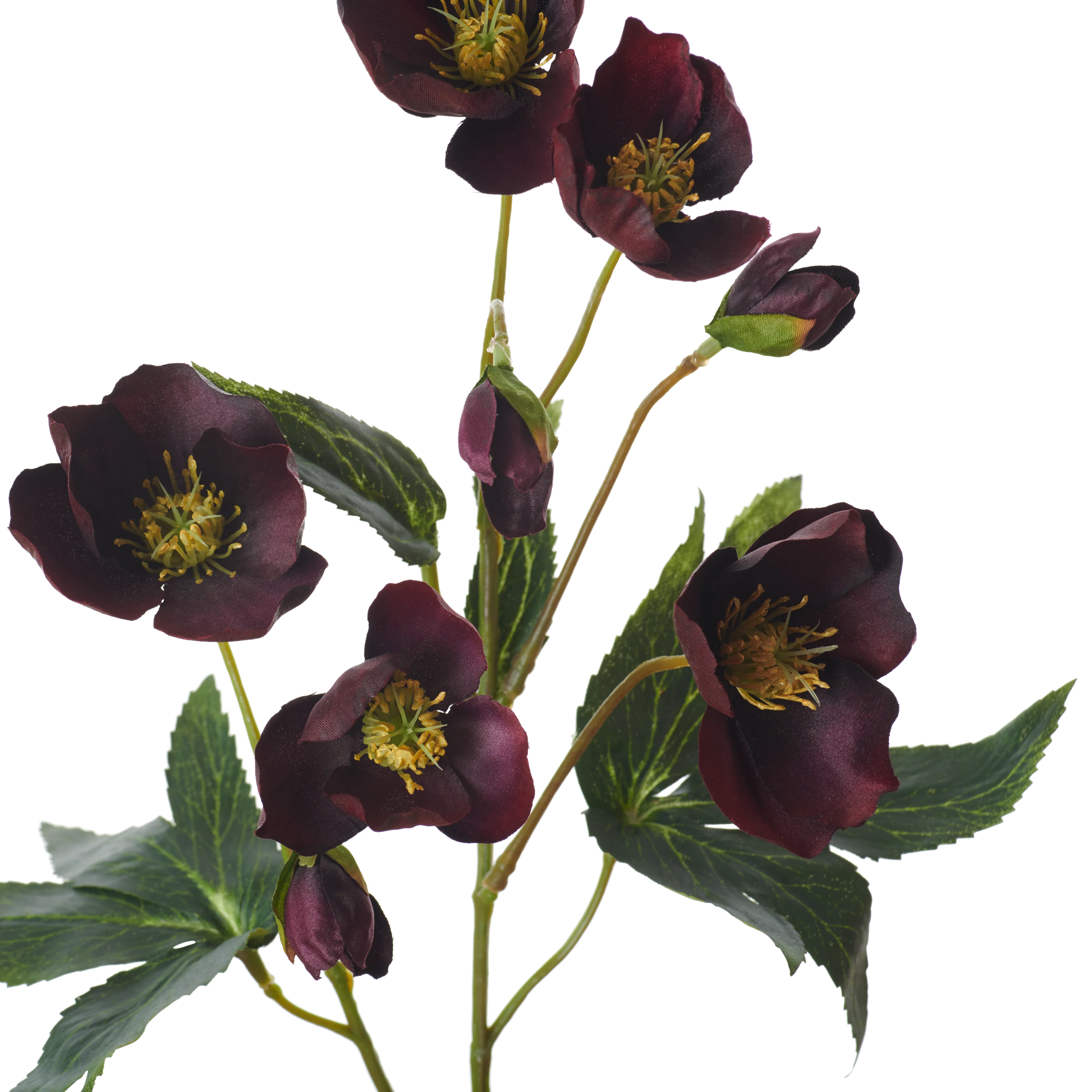 Hellebores Spray Burgundy - Image 3