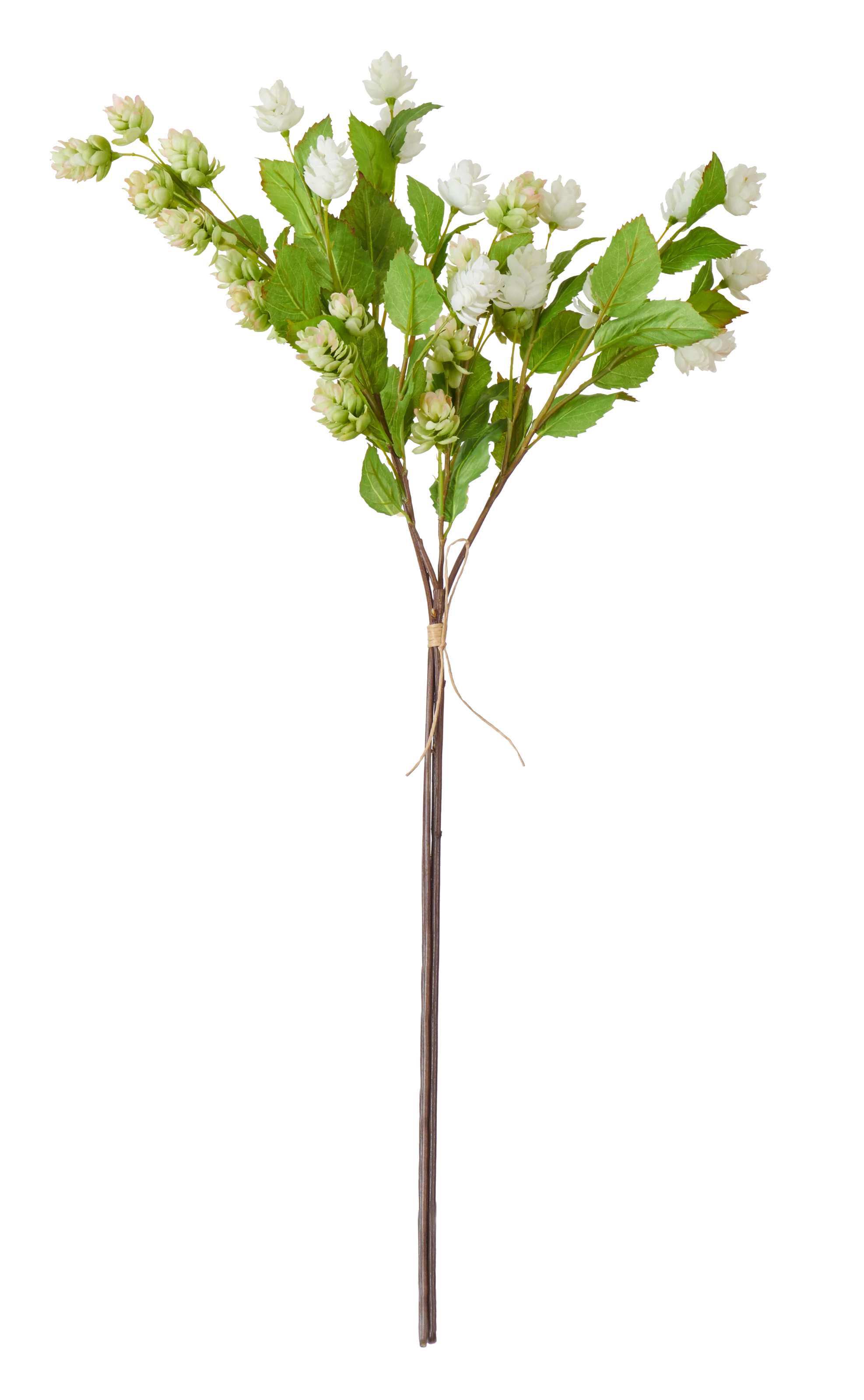 Hops Bunch, Green White - Image 4