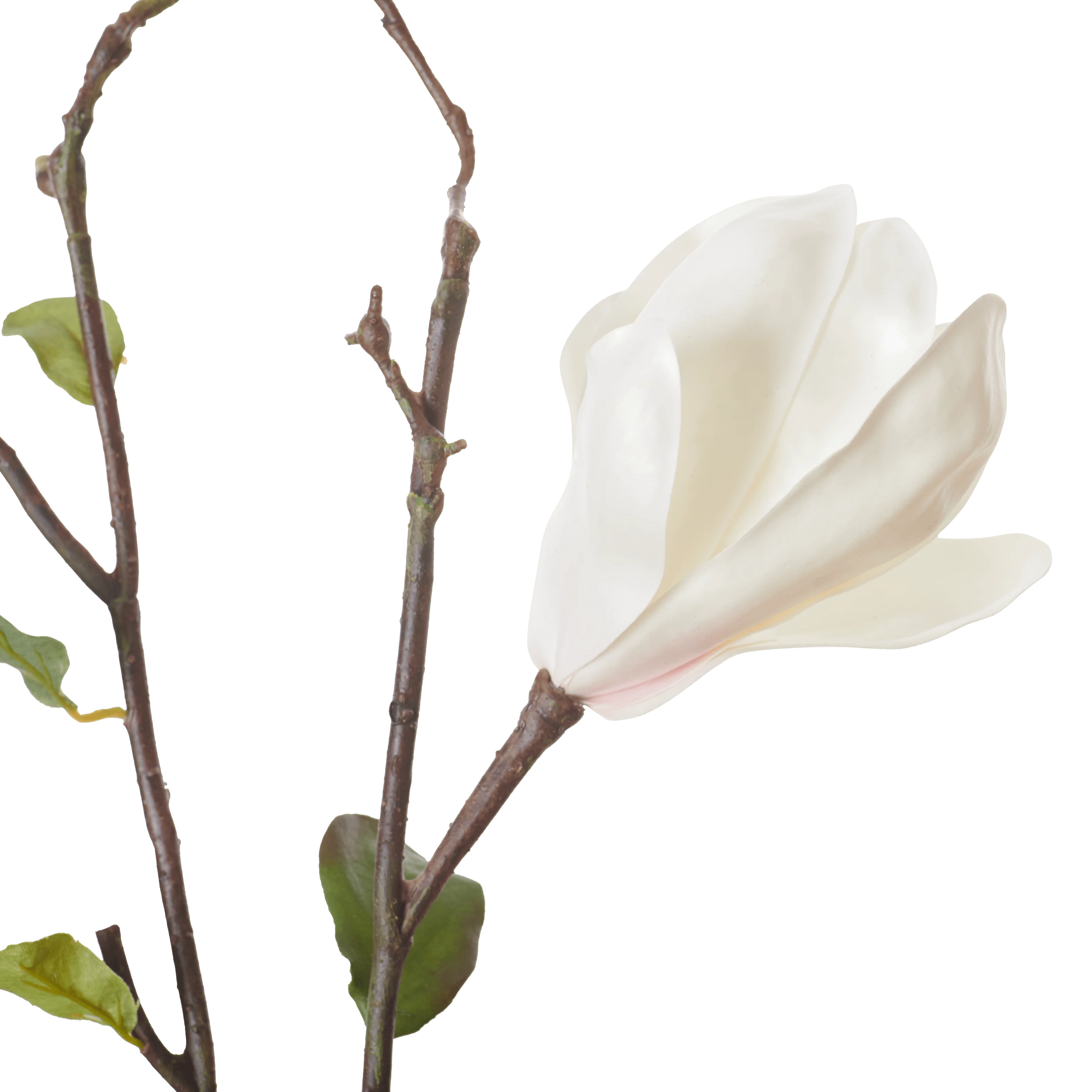 Magnolia Branch White - Image 3