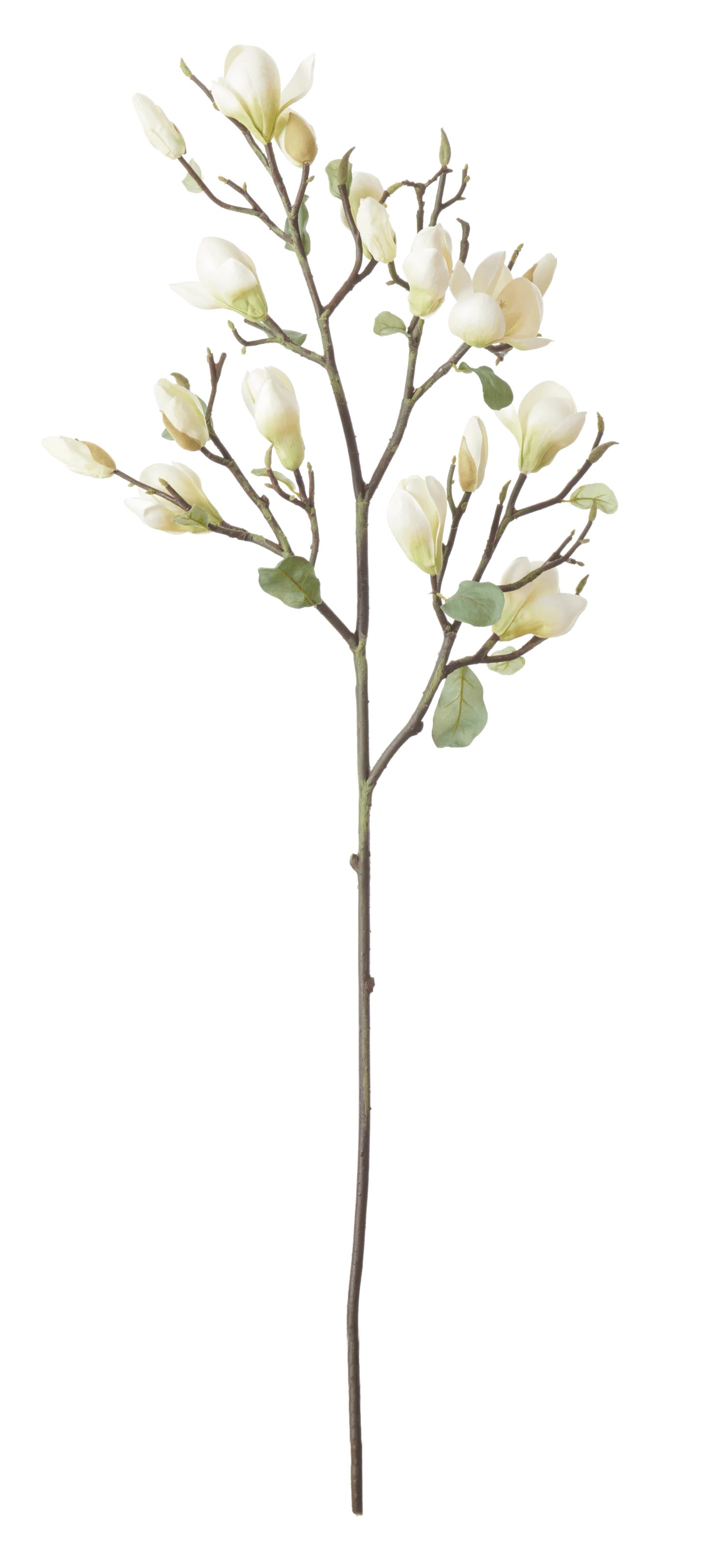 Magnolia Spray Green - Image 4