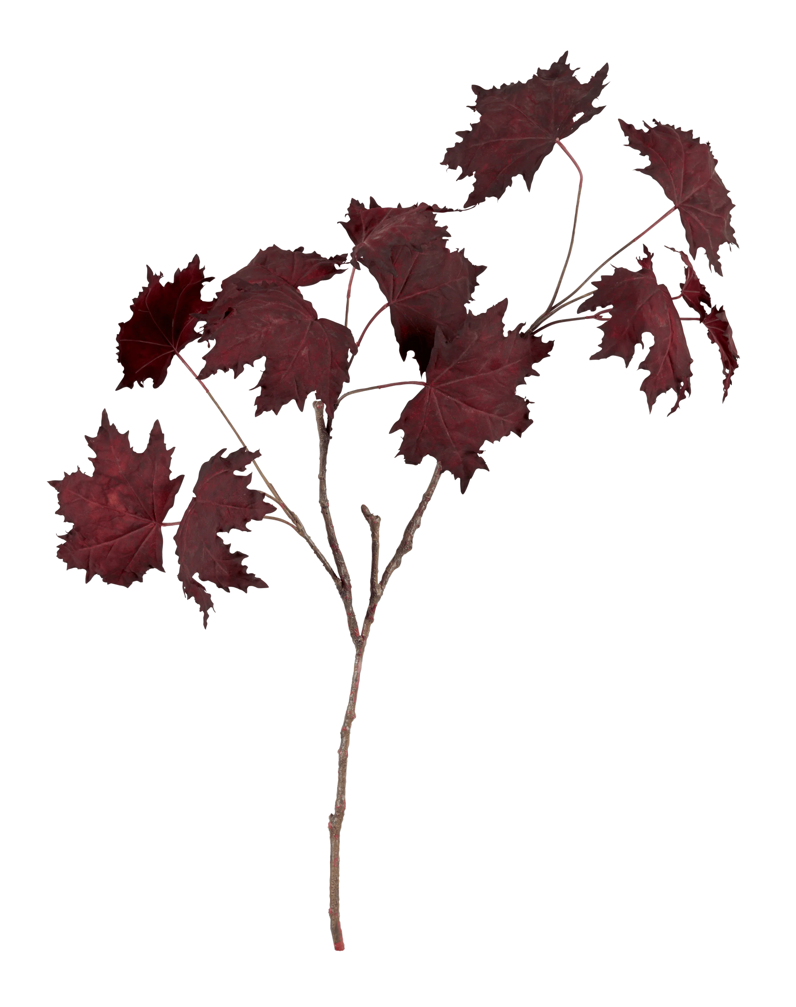 Maple Leaf Twig, Burgundy - Image 3