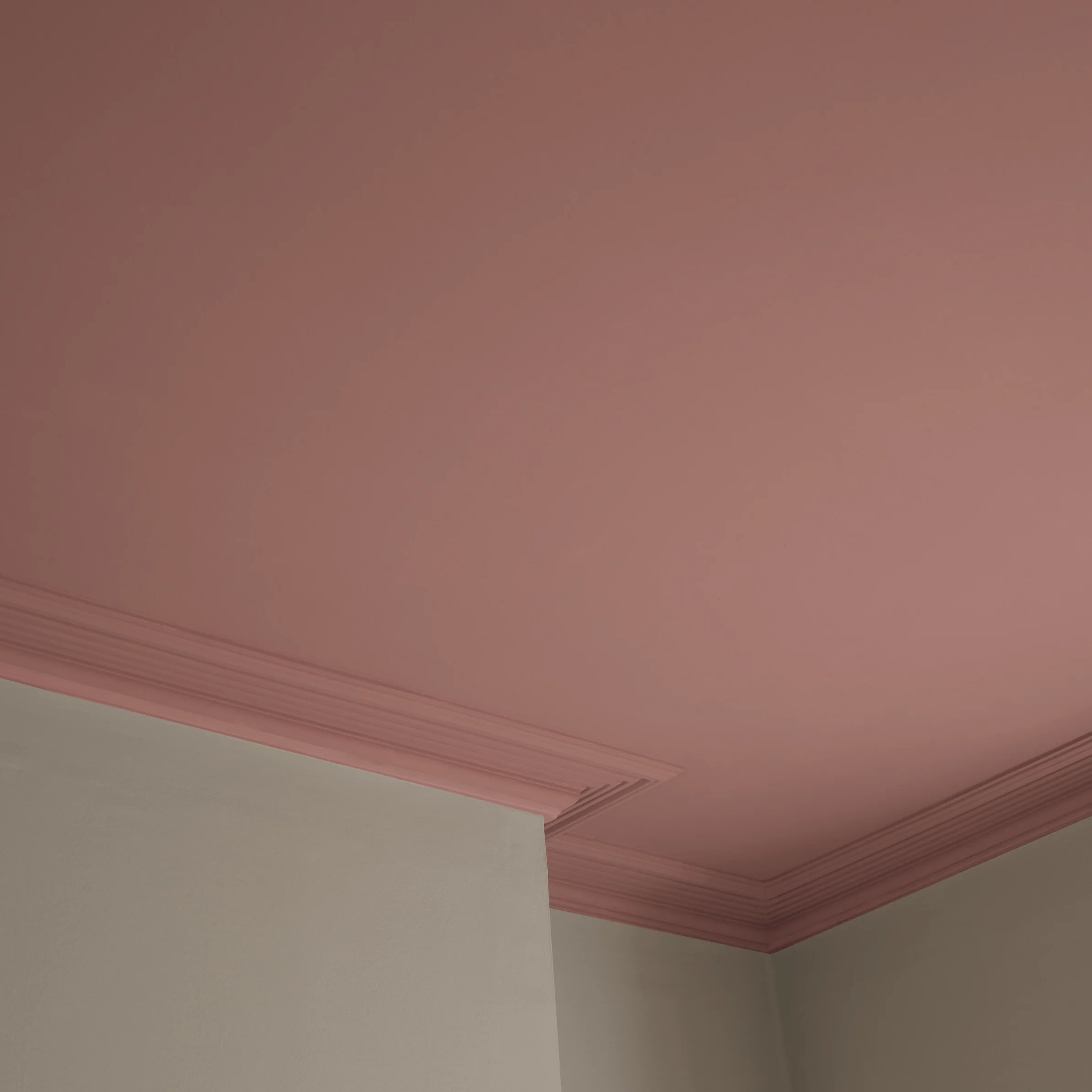 Old Rose Paint - Image 3