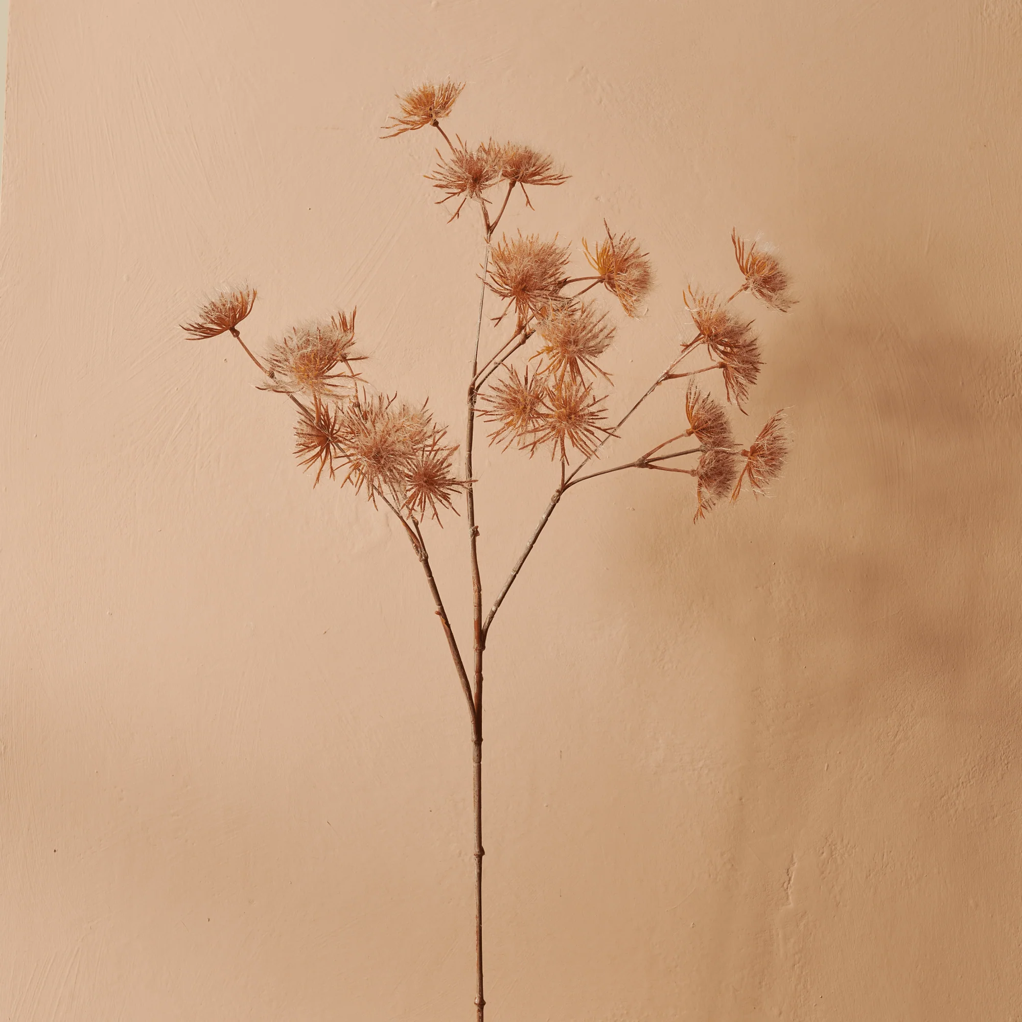 Queen Anne Lace Spray - Pink