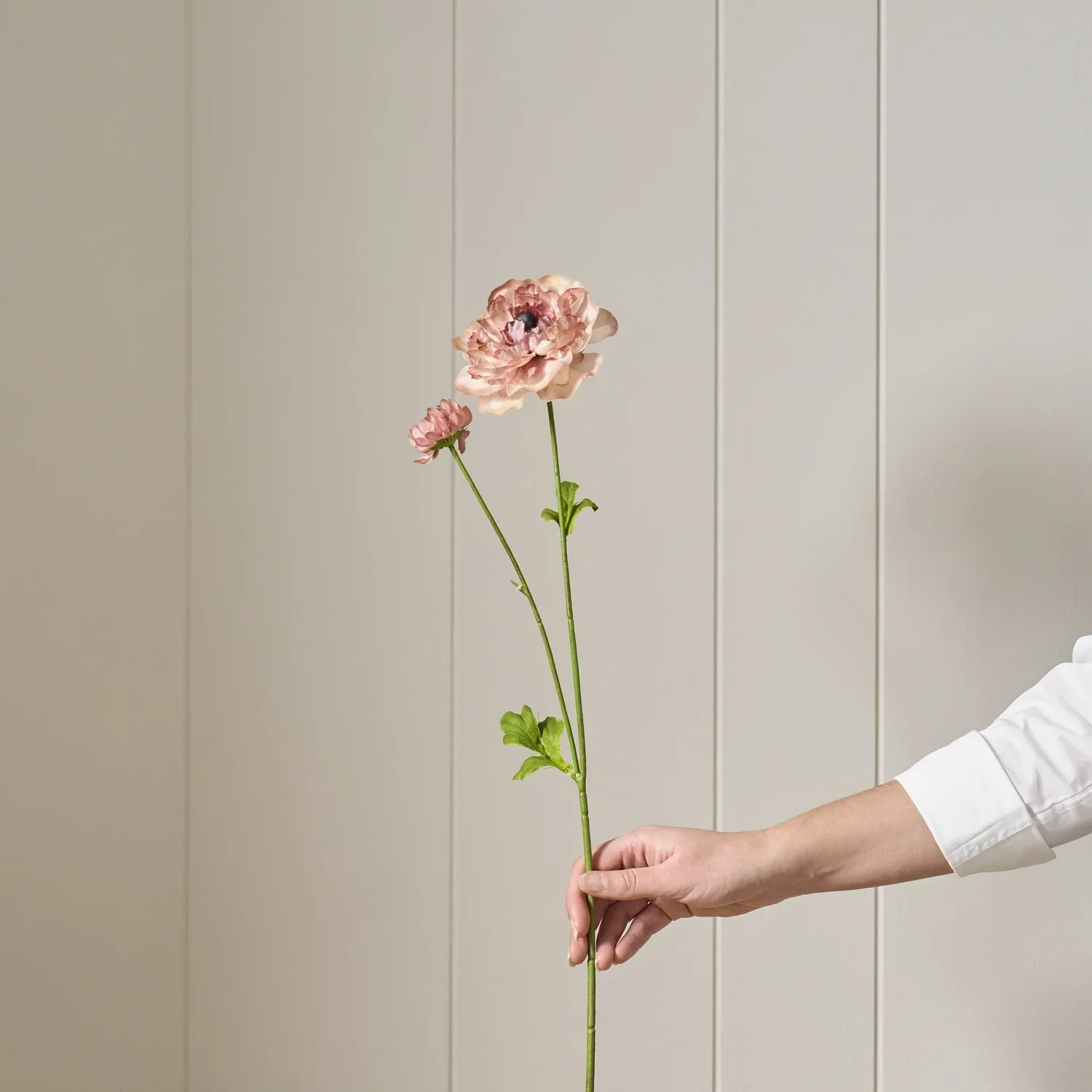 Ranunculus Spray, Warm Pink