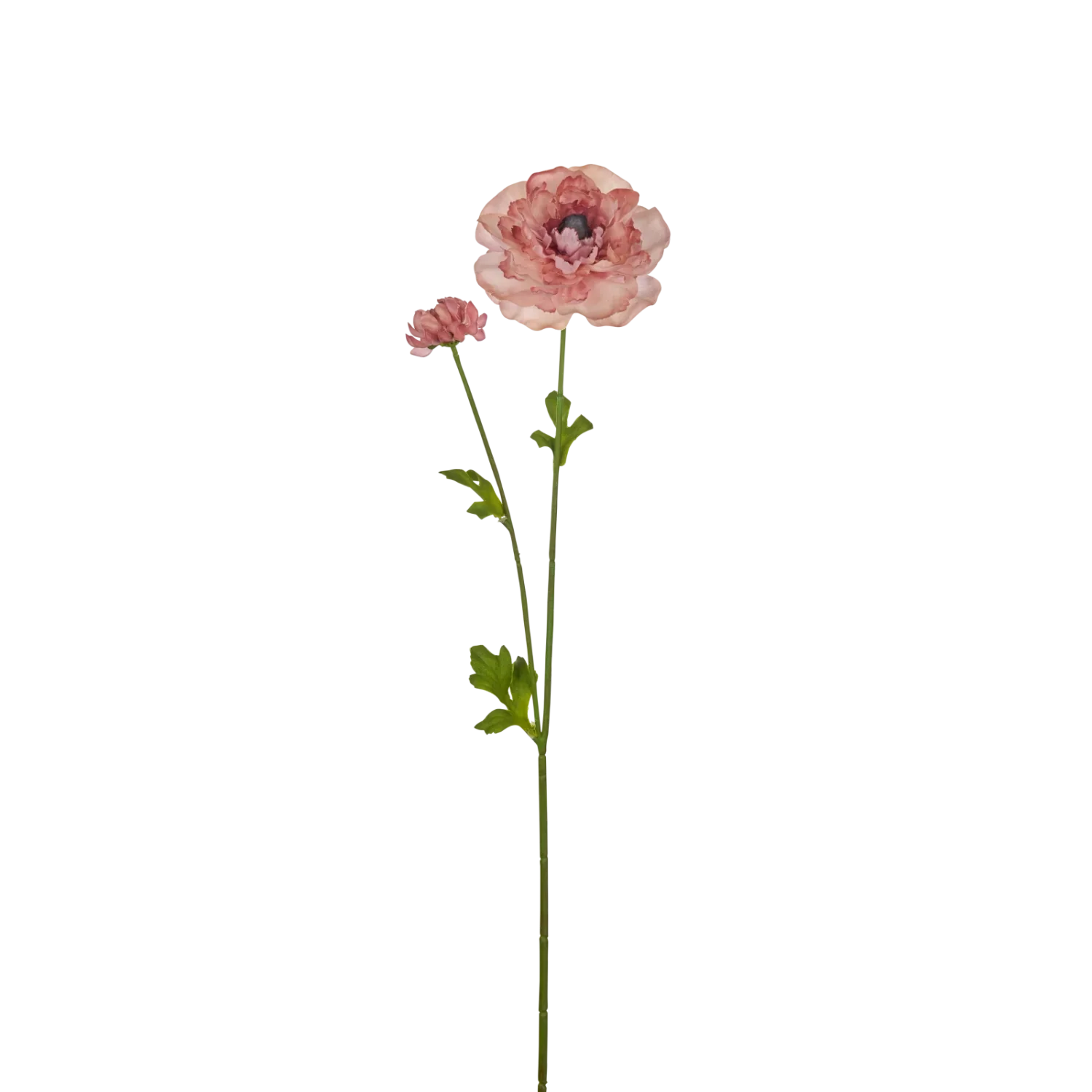 Ranunculus Spray, Warm Pink - Image 3