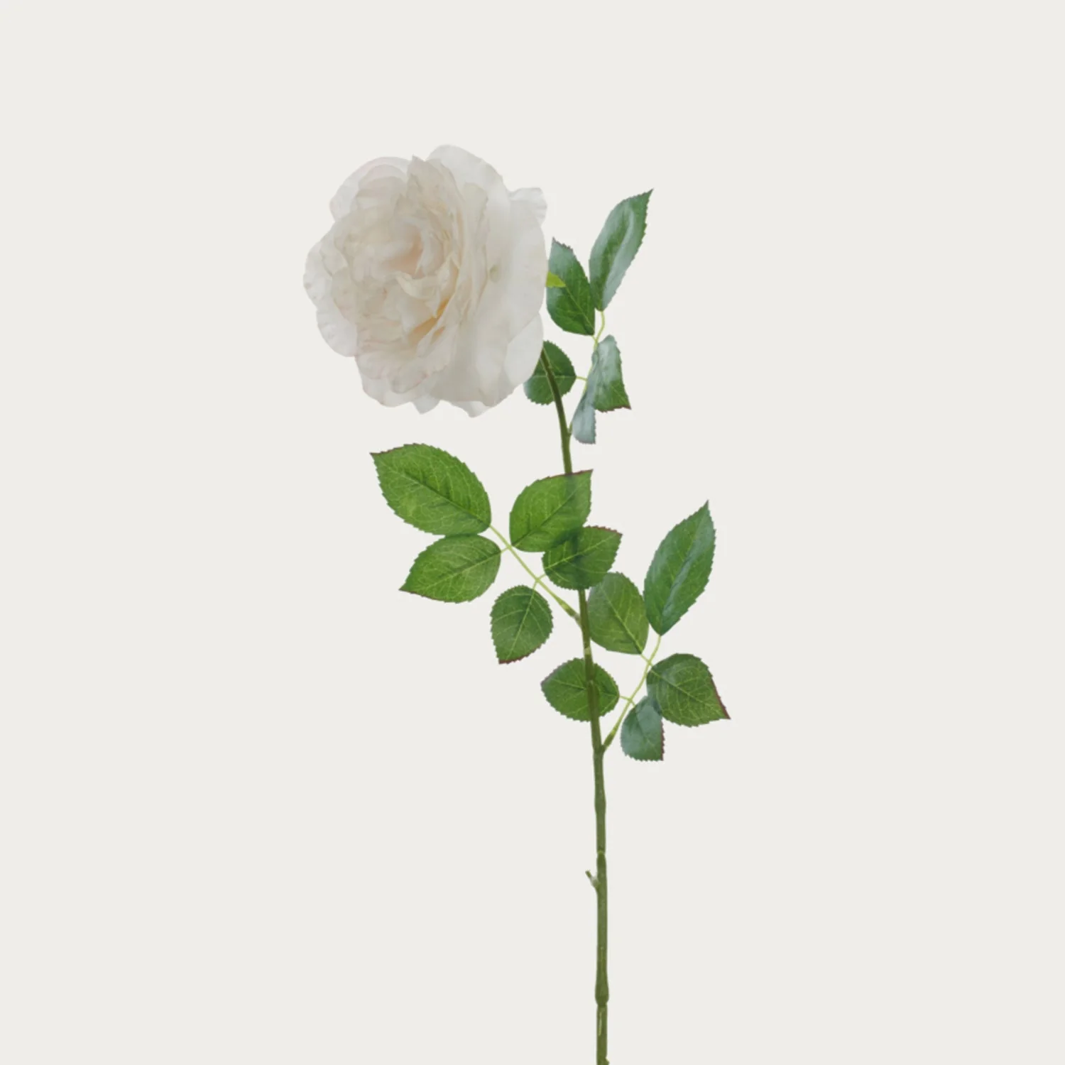 Rose Stem, White - Image 3